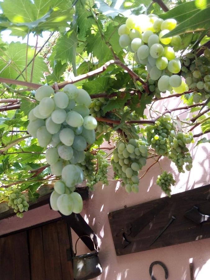Belli come il Sole Serri Esterno foto