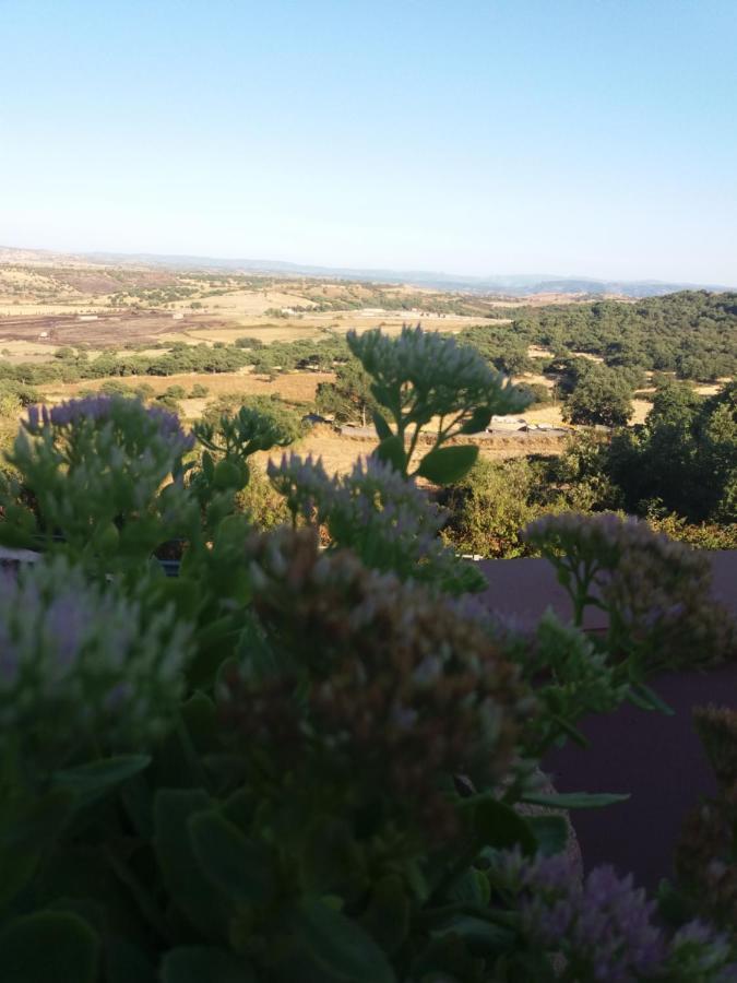 Belli come il Sole Serri Esterno foto