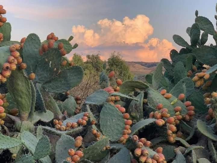 Belli come il Sole Serri Esterno foto